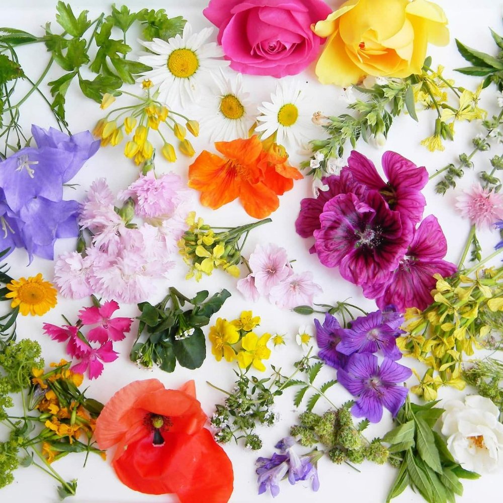 Spring mystery accessory bundle